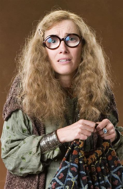 Sybill trelawney - Liam Aiken as Harry Potter. Aiken, best known for Stepmom, was actually given the prize role as Harry (pictured here in 2001, the year Harry Potter and the Sorcerer's Stone was released), but he ...